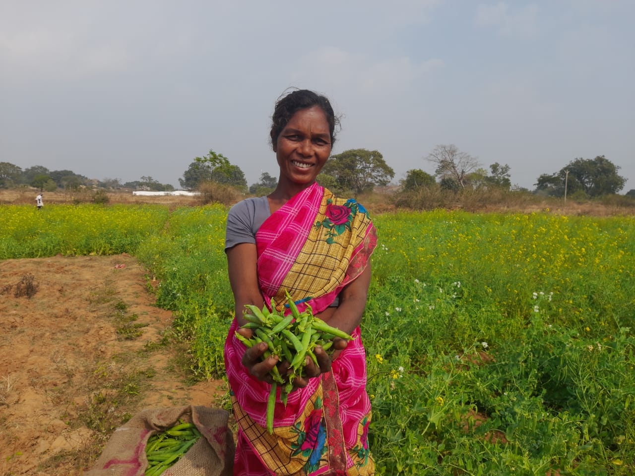 footer-widget-gallery