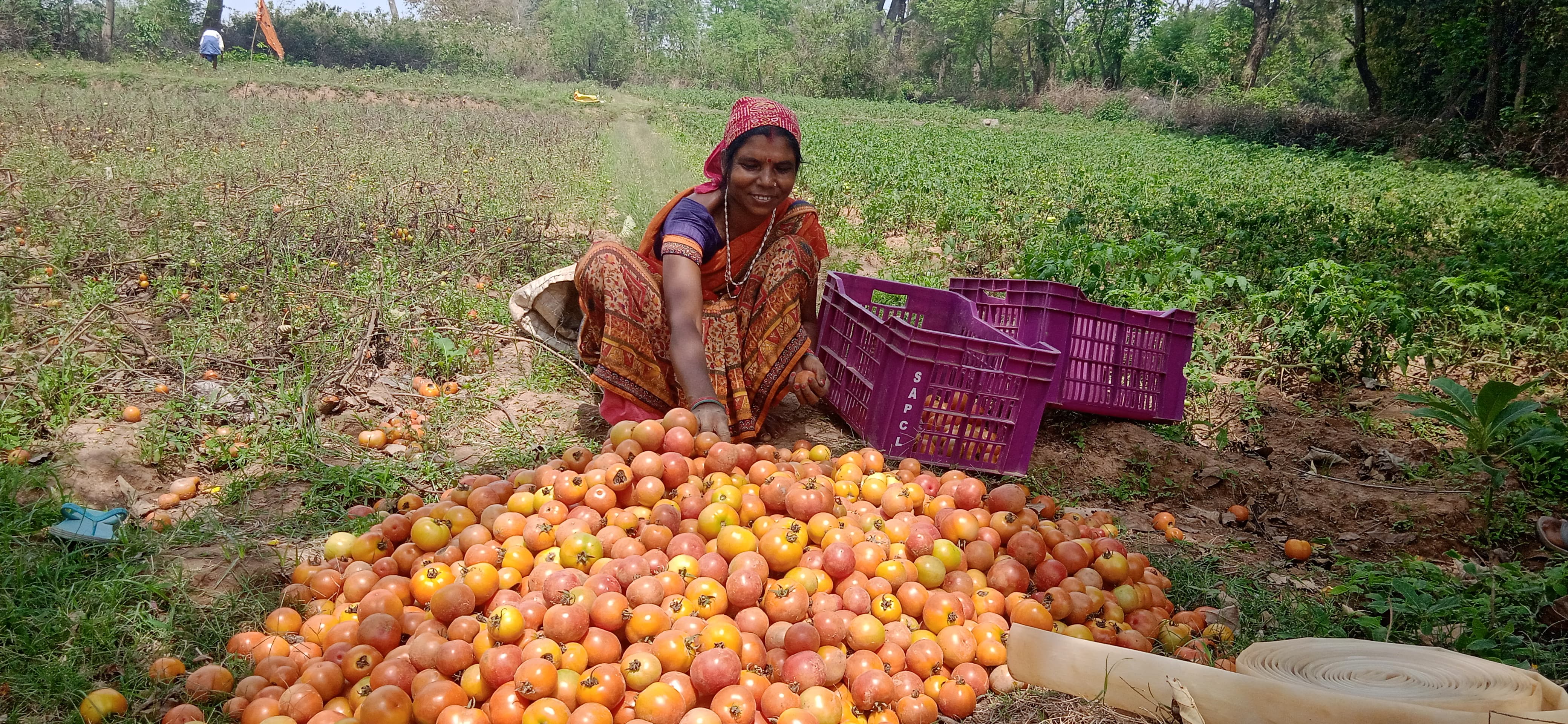 footer-widget-gallery