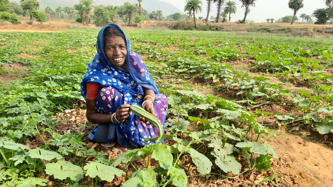 footer-widget-gallery