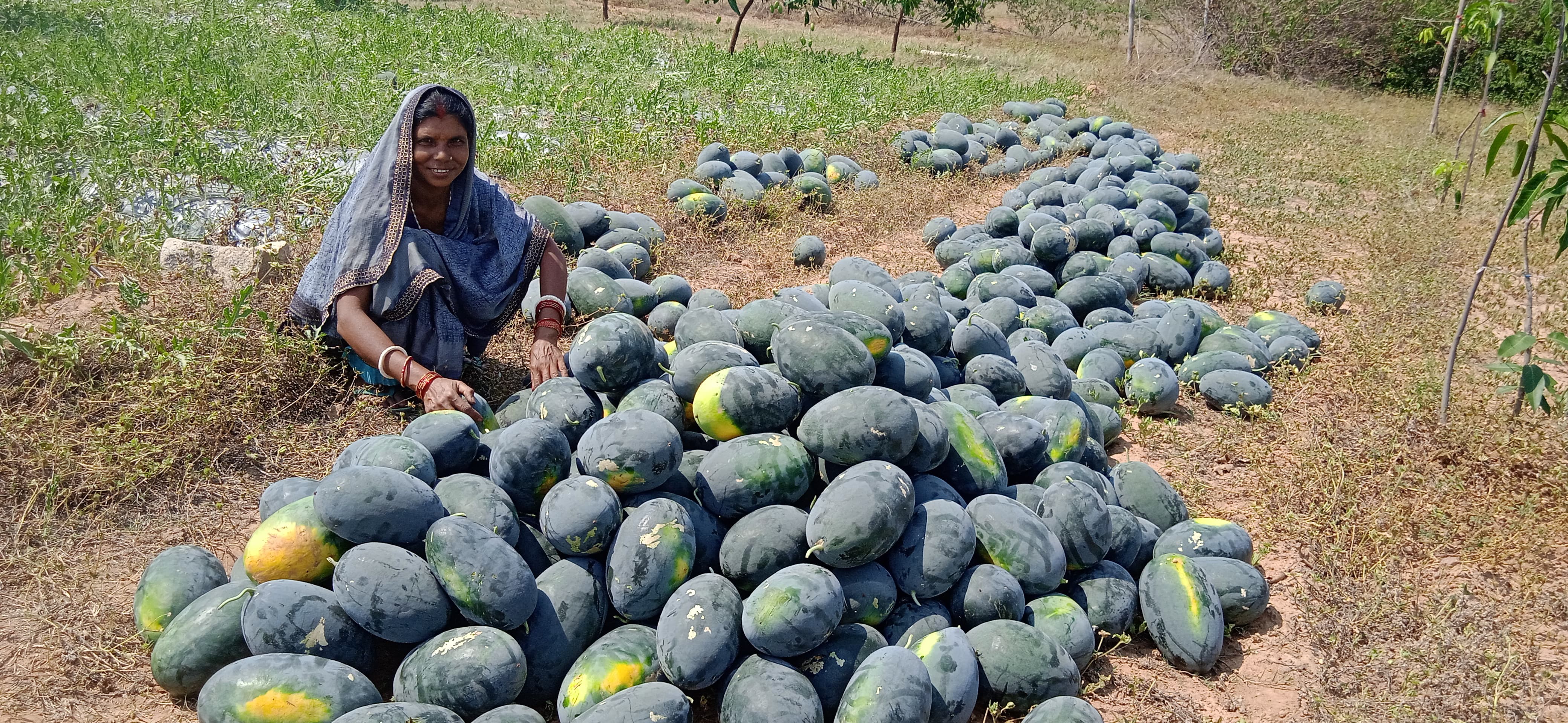 footer-widget-gallery