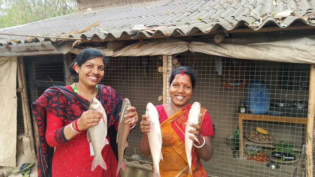 footer-widget-gallery